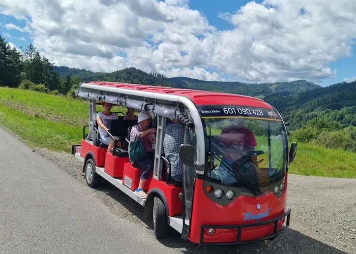 Apartmán Sielanka Pod Siglanami 2 Visla